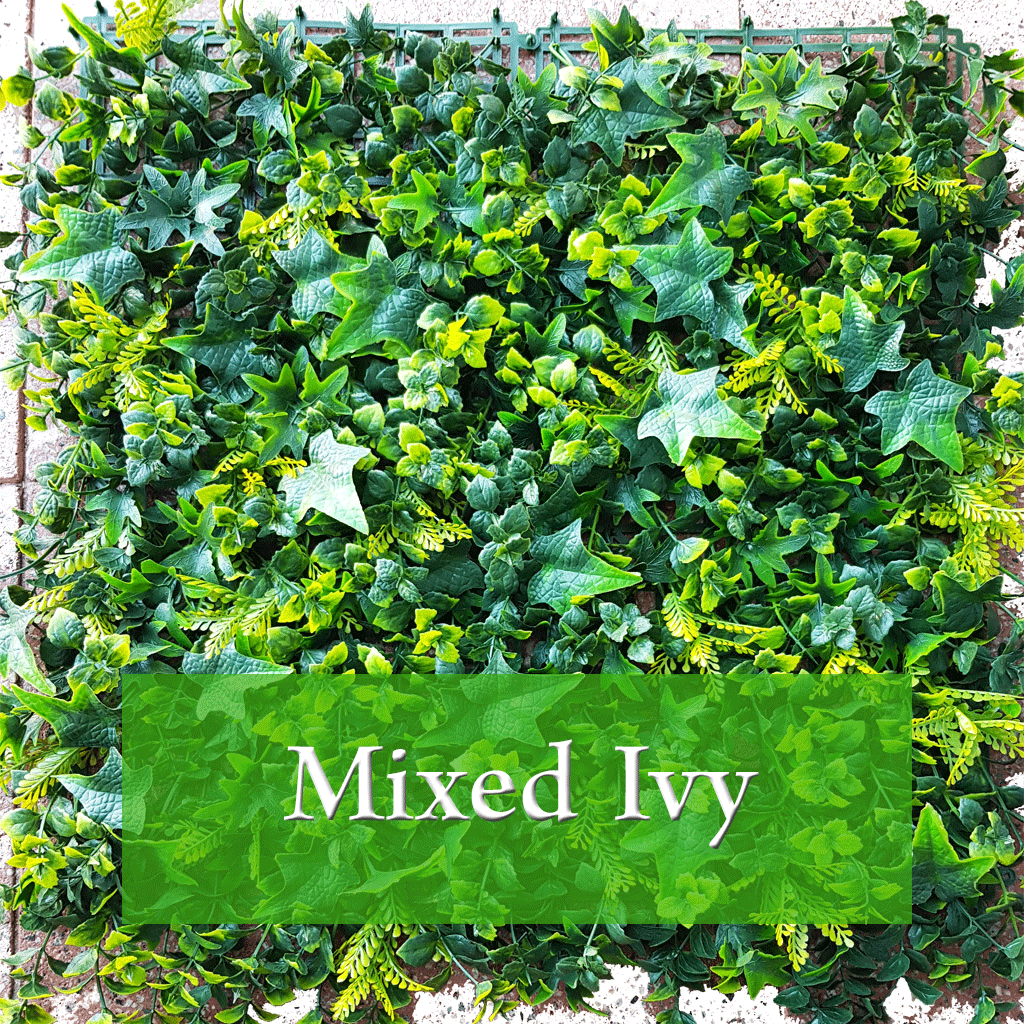 Mixed-Ivy