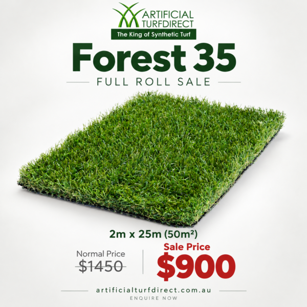 Forest 30