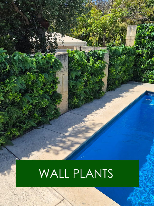 Wall-Plants-Home