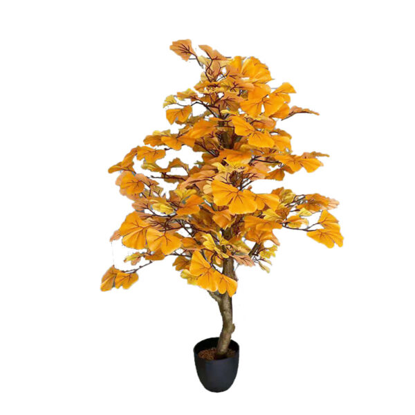 Golden Ginkgo