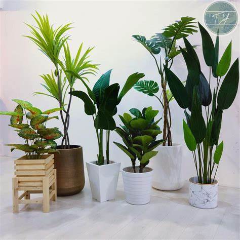 Potted Plants