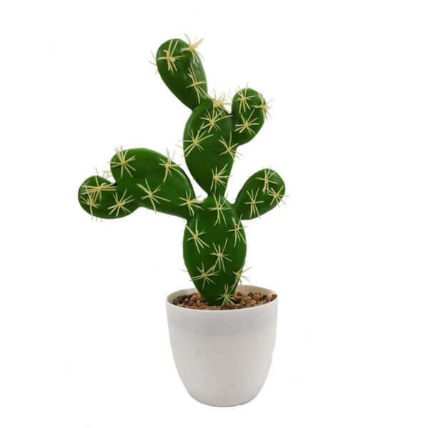 Armed Cactus